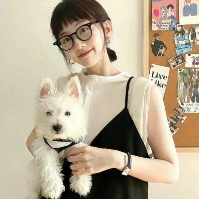 梦边缘海报